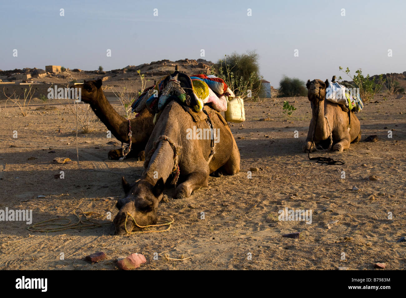 Lost child desert hi-res stock photography and images - Alamy