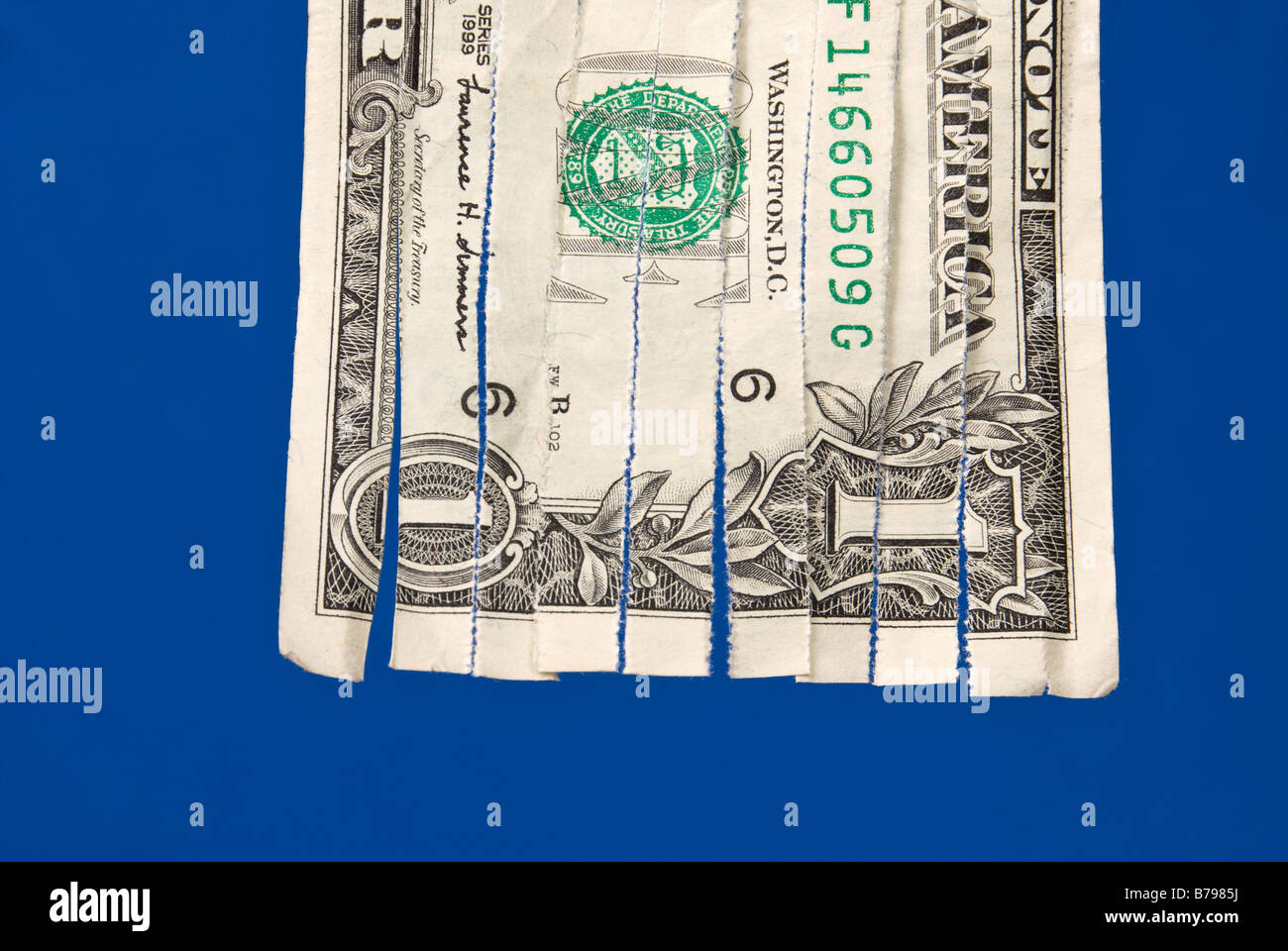 A shredded dollar bill isolated on blue The image can be used for economic financial inferences Stock Photo