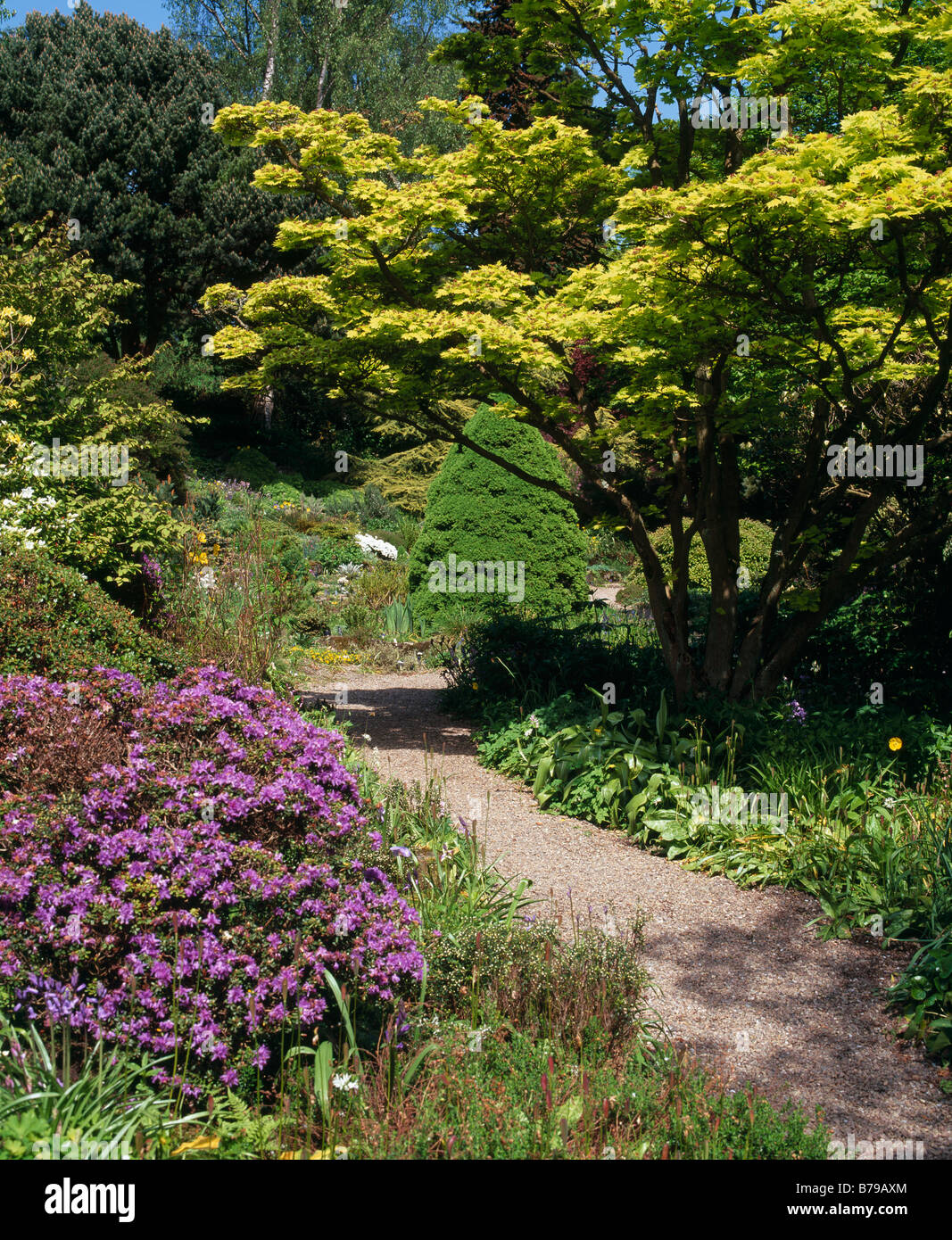 Bracklyn Gardens, Perth, Perth and Kinross, Scotland, UK. Stock Photo