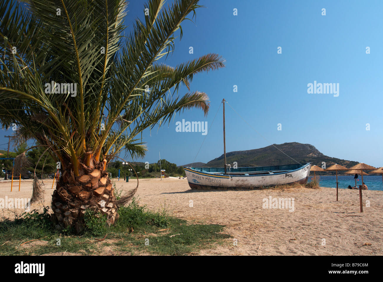 A palm and a boat on Toroni Beach Halkidiki Greece Stock Photo