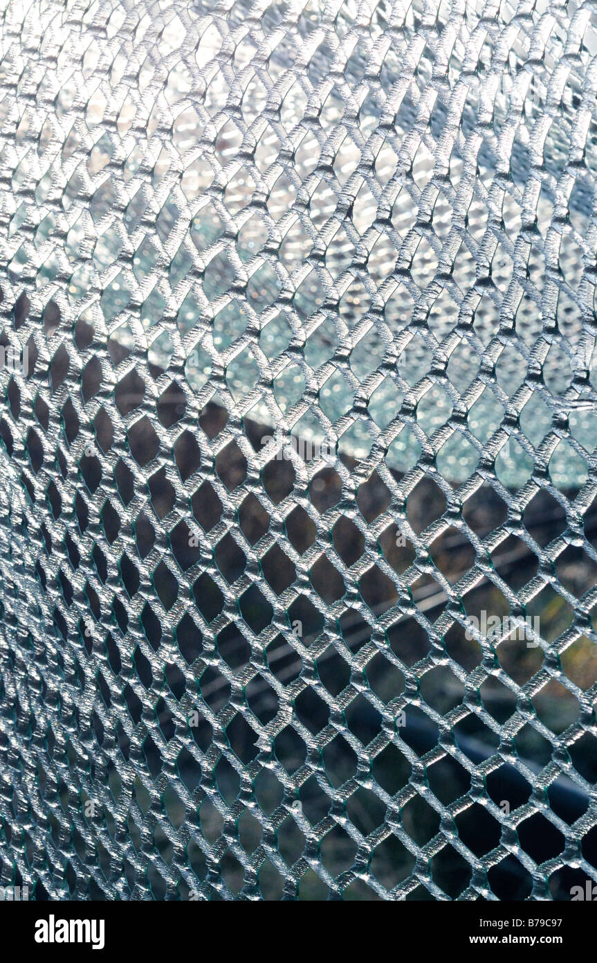 Garden netting hi-res stock photography and images - Alamy