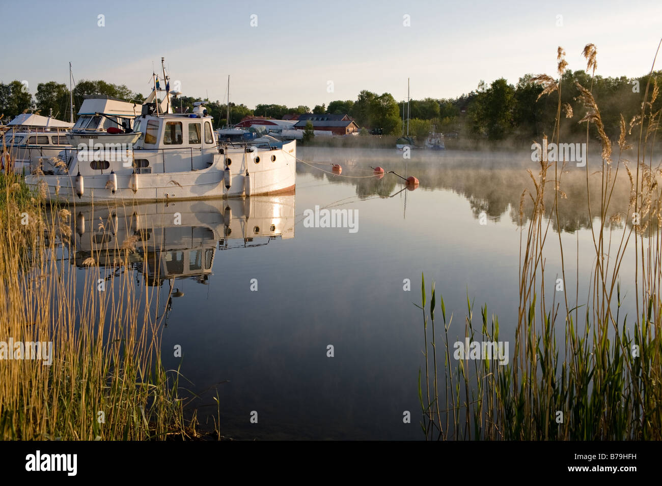 Scandinavian summer (Lidingö Stock Photo - Alamy
