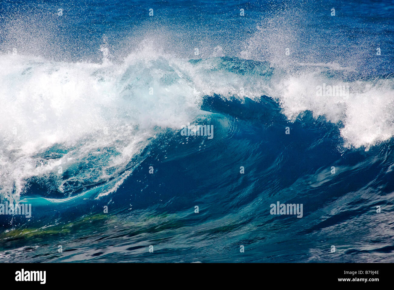 Close up of a breaking ocean wave Stock Photo