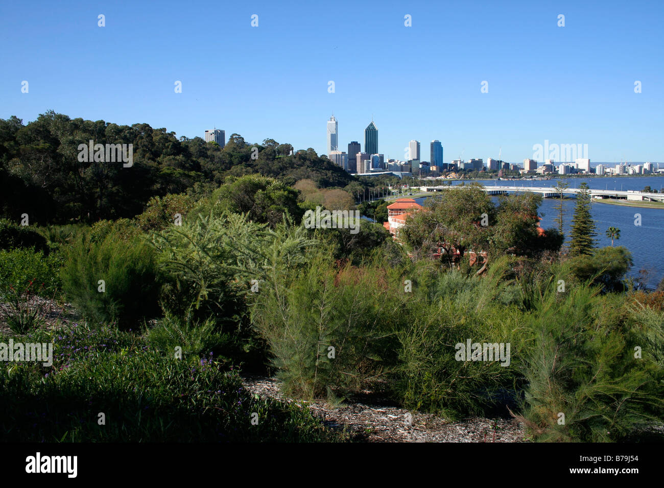 Kings park, Perth WA Stock Photo Alamy