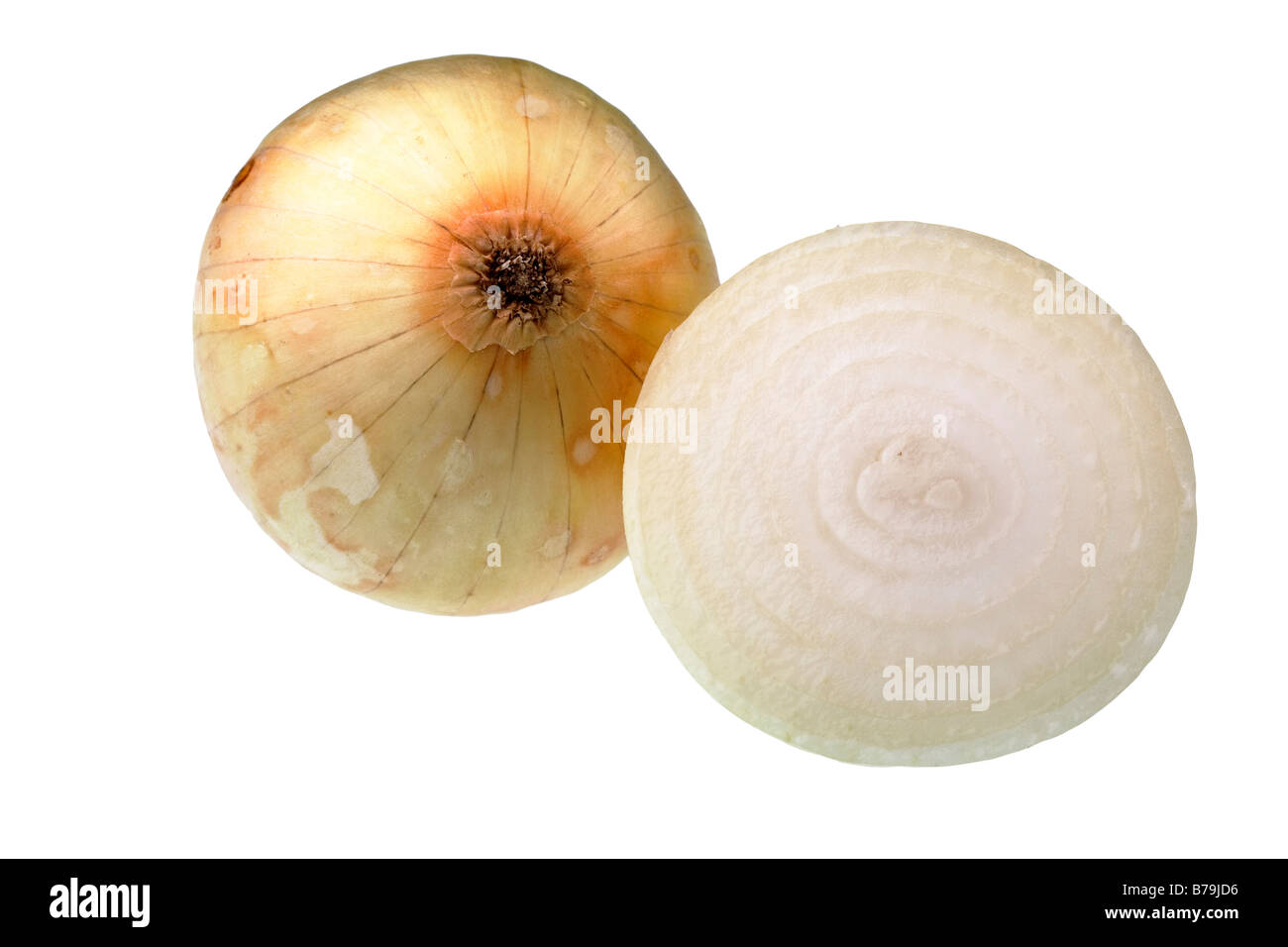 Cross section onion hi-res stock photography and images - Alamy