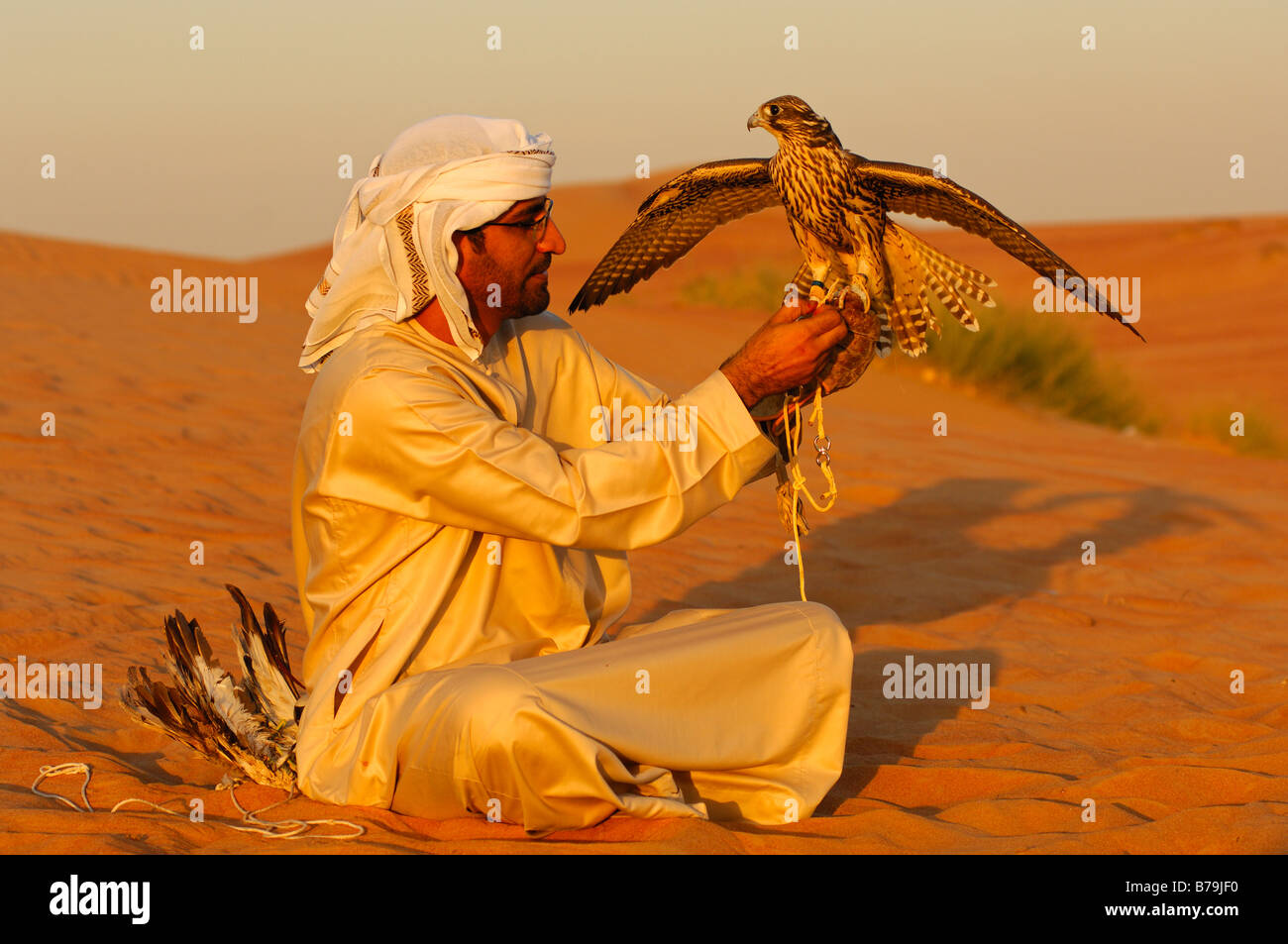Arab falconer sits with his hunting falcon in the desert sand after a