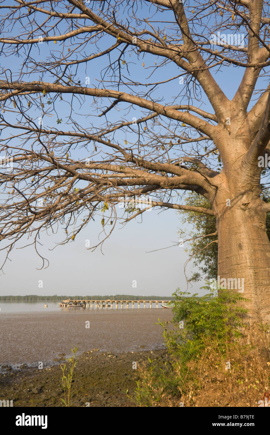Gambia River Low Tide Tendaba Camp The Gambia Stock Photo