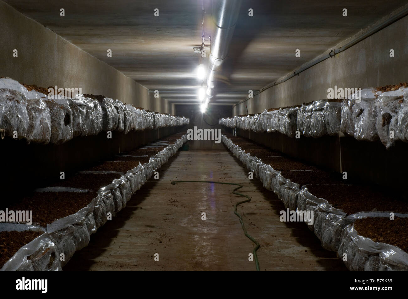 Compost Bags Stock Photos & Compost Bags Stock Images - Alamy