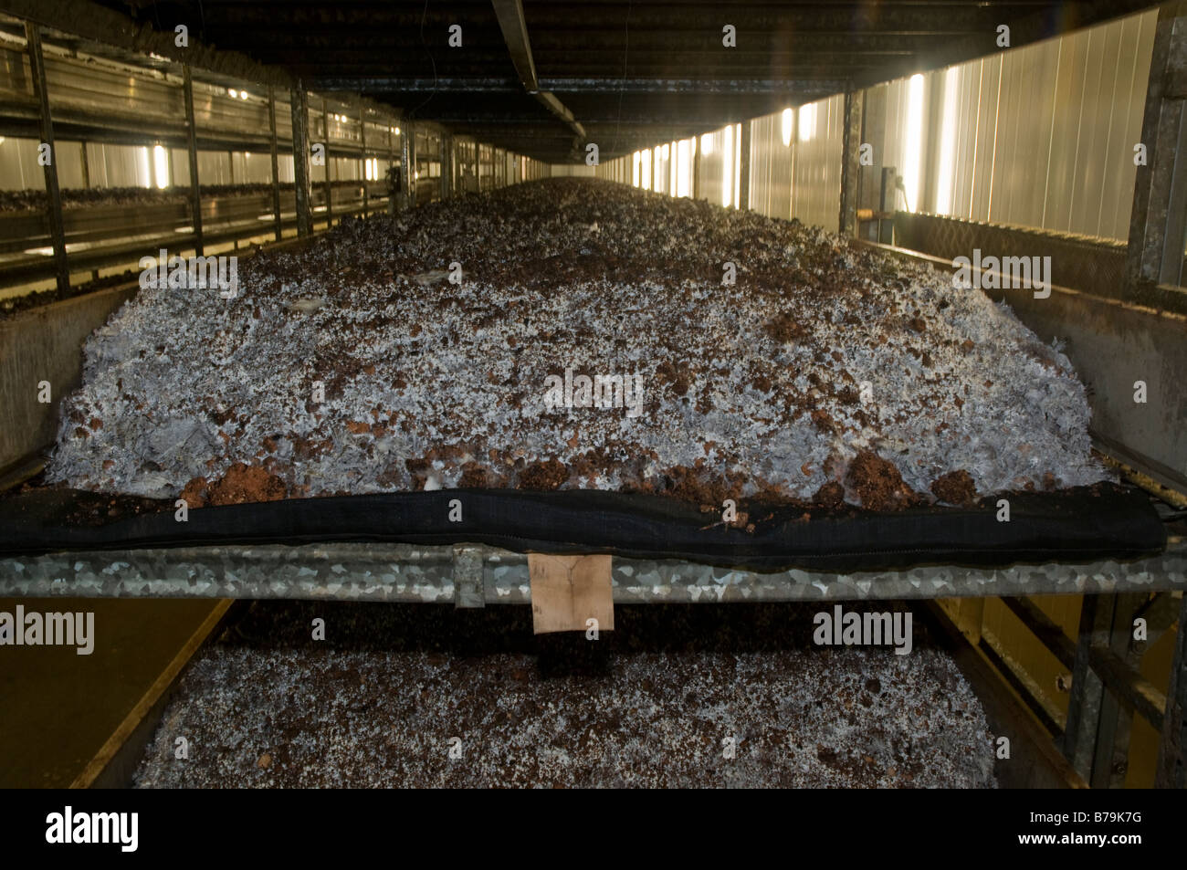 shelves of organic compost are kept under controlled environmental