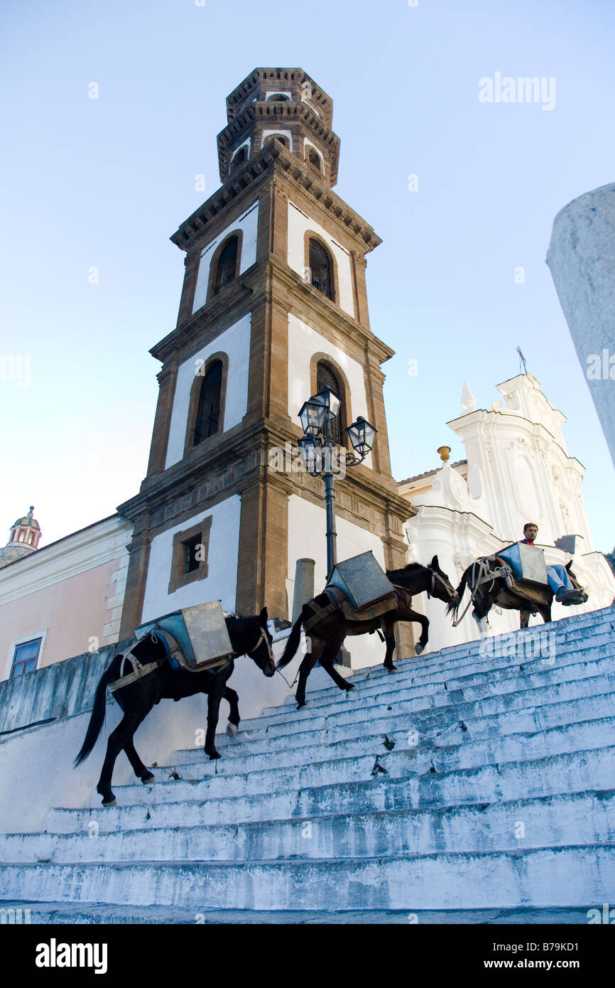 Three Donkeys Carrying Packs Up Ancient Steps Amalfi Coast Stock Photo