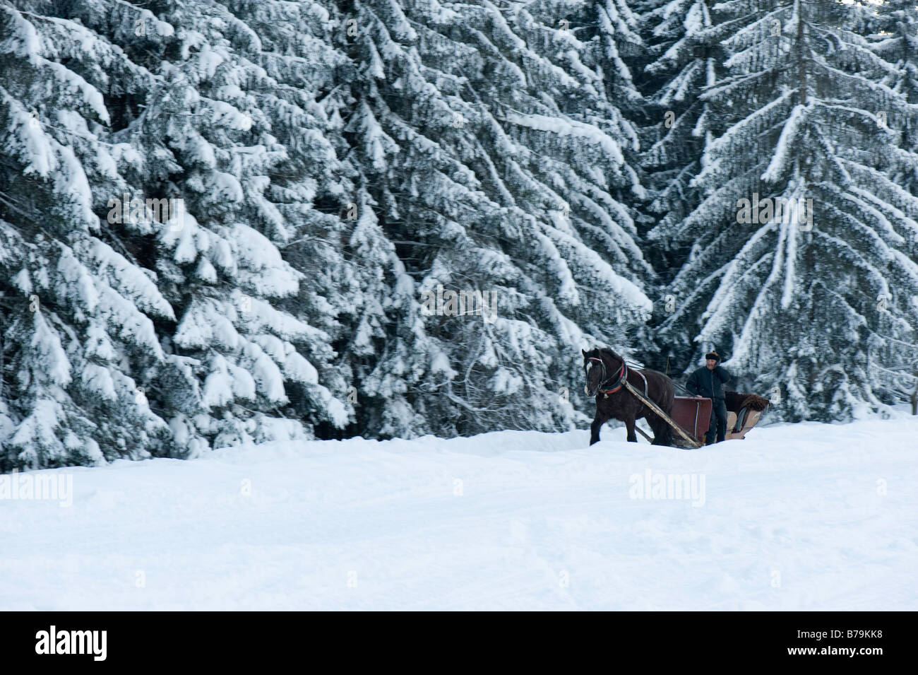 Horse drawn sleigh on Gubalowka Hill Zakopane Tatra Mountains Podhale Region Poland Stock Photo