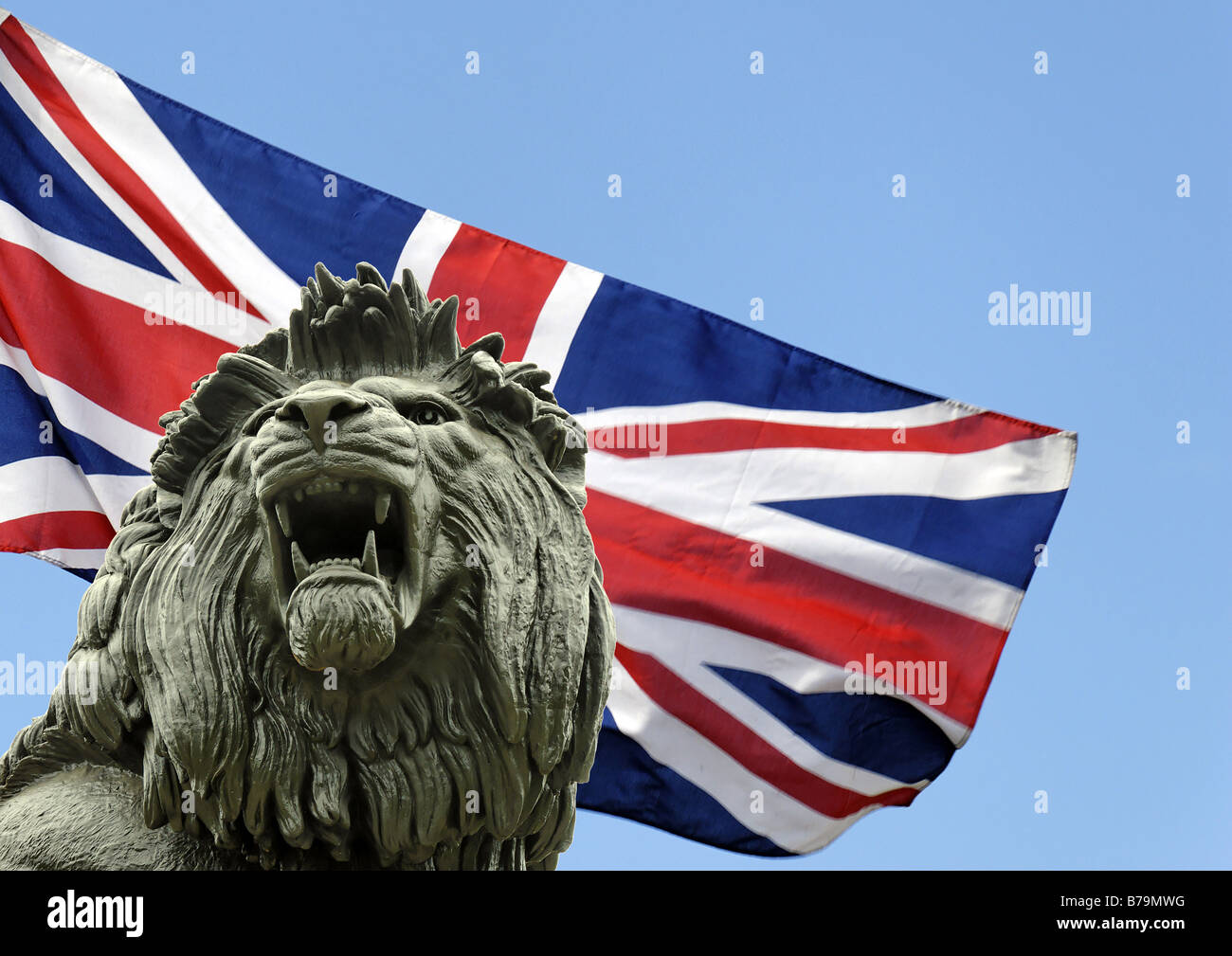 Lion against union flag Stock Photo