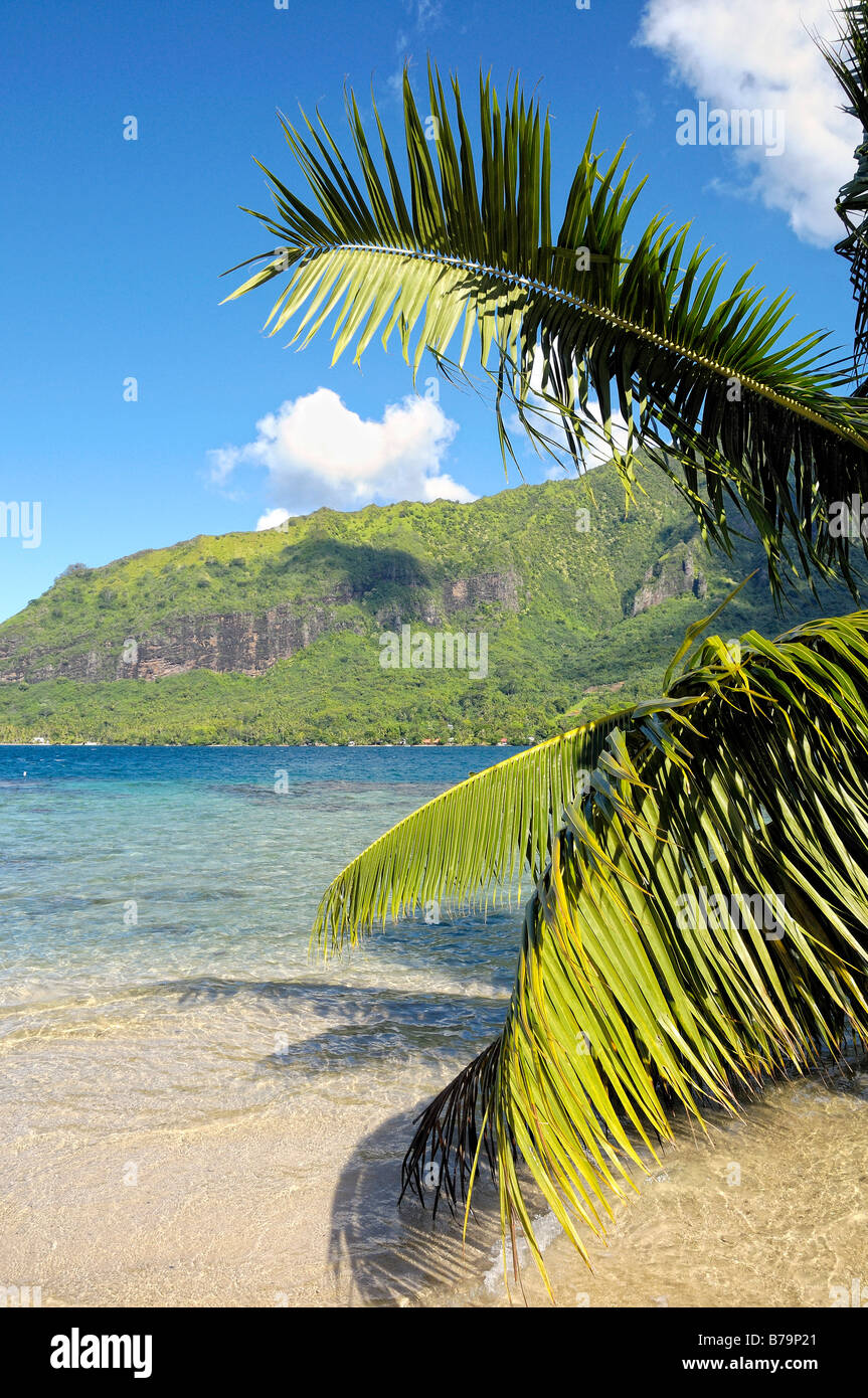 Sea and mountain, the charm of Moorea , French Polynesia Stock Photo