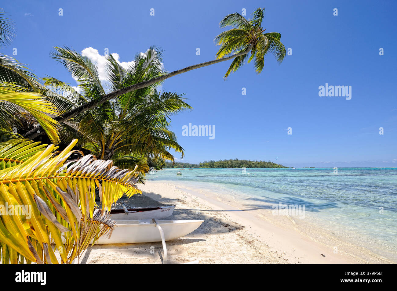 Amazing beach in Moorea, French Polynesia Stock Photo