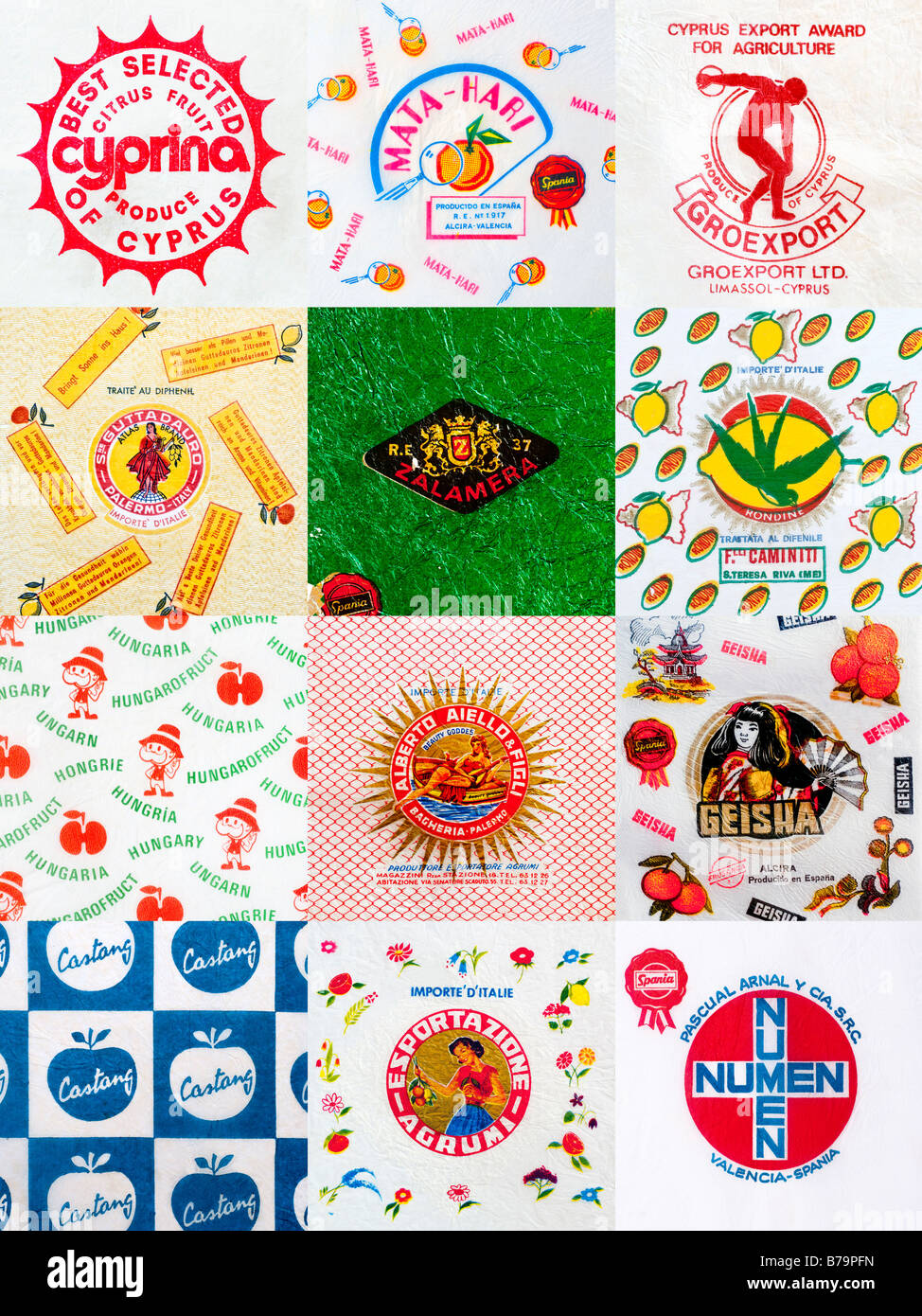 Printed ephemera / Multiple 12 x Image vertical montage of Citrus Fruit