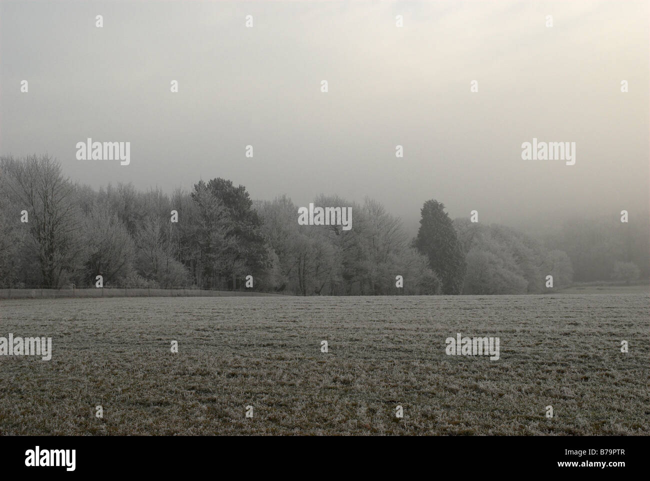 Ploughed field frost field hi-res stock photography and images - Alamy