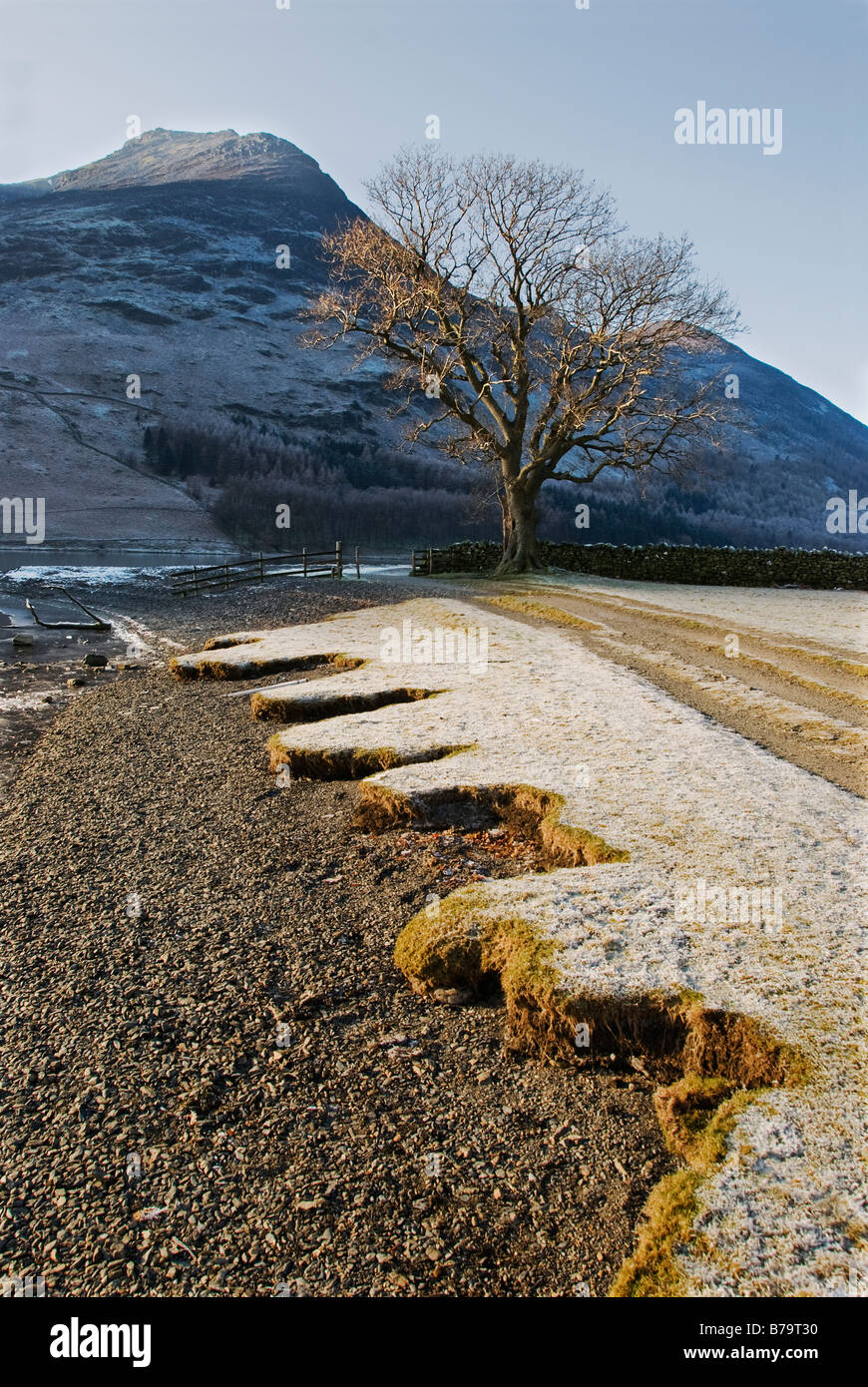 Red pike hi-res stock photography and images - Alamy