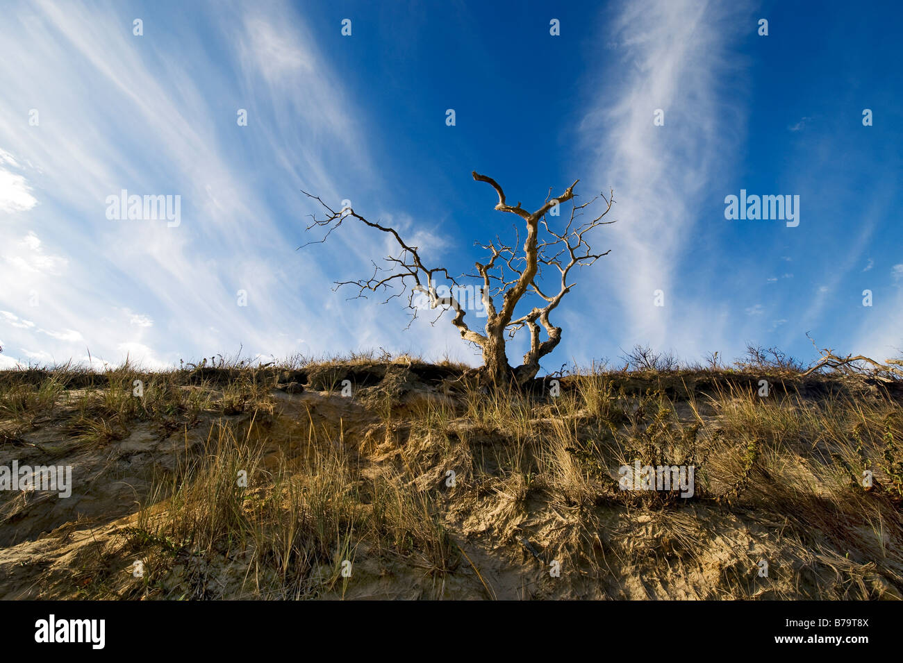 Head of Meadow Beach, Truro, Cape Cod, MA Stock Photo