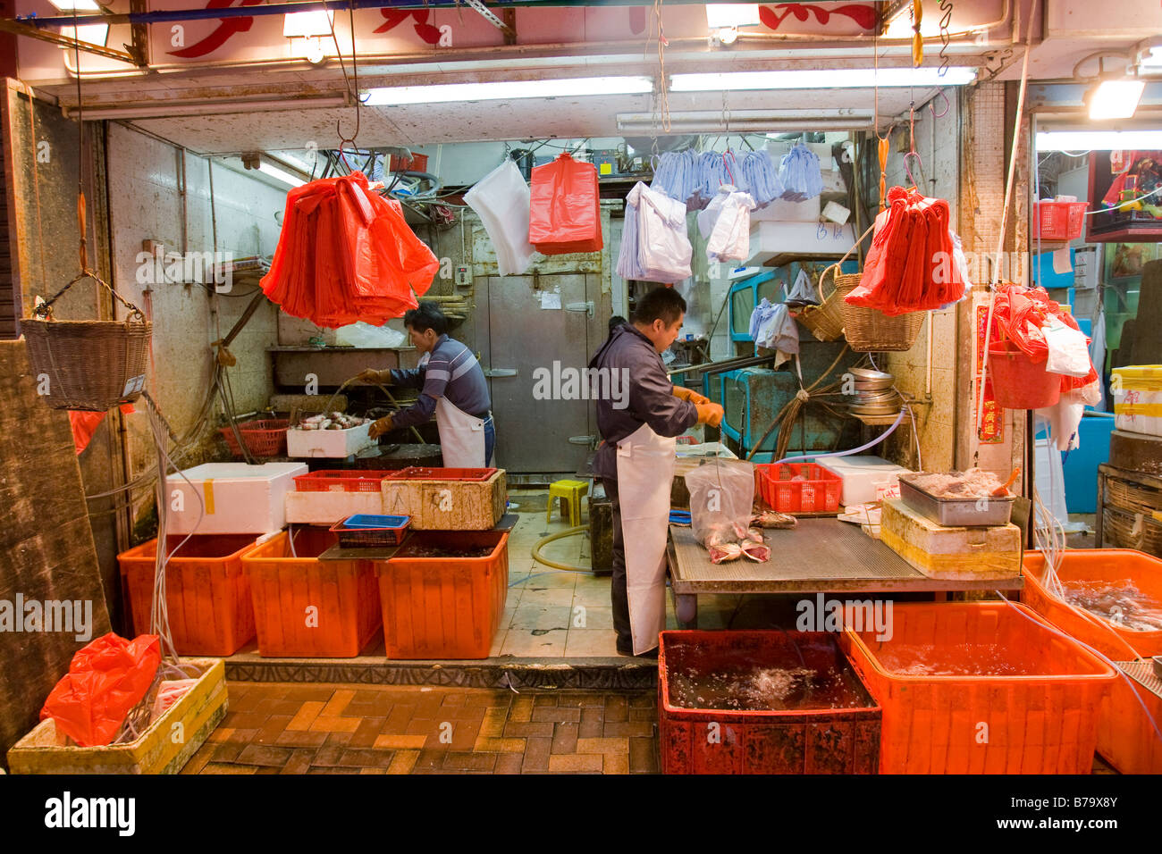 A fish store in Kowloon Hong Kong Stock Photo Alamy