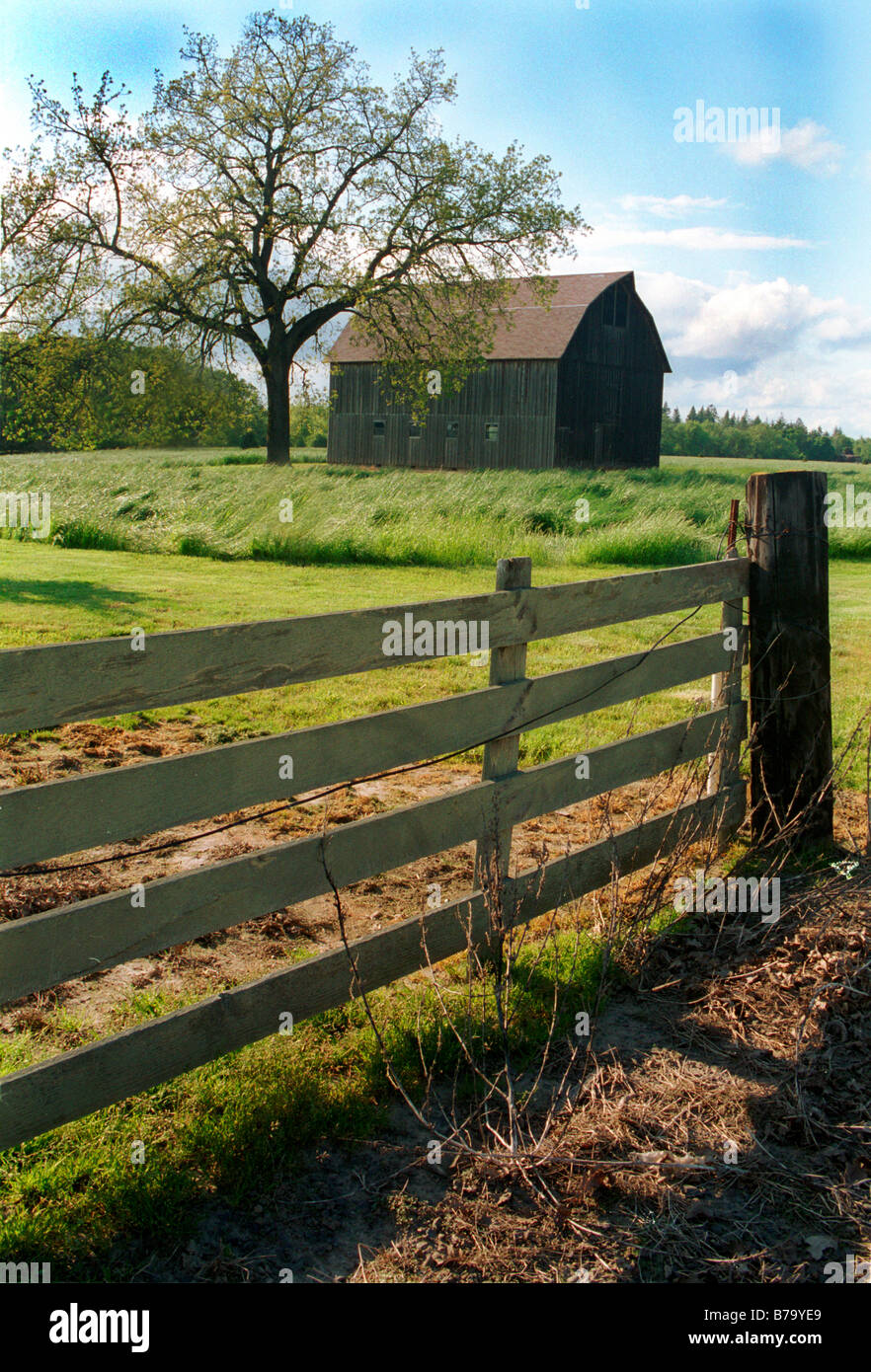Rural farm scene in Albany, Oregon Stock Photo Alamy