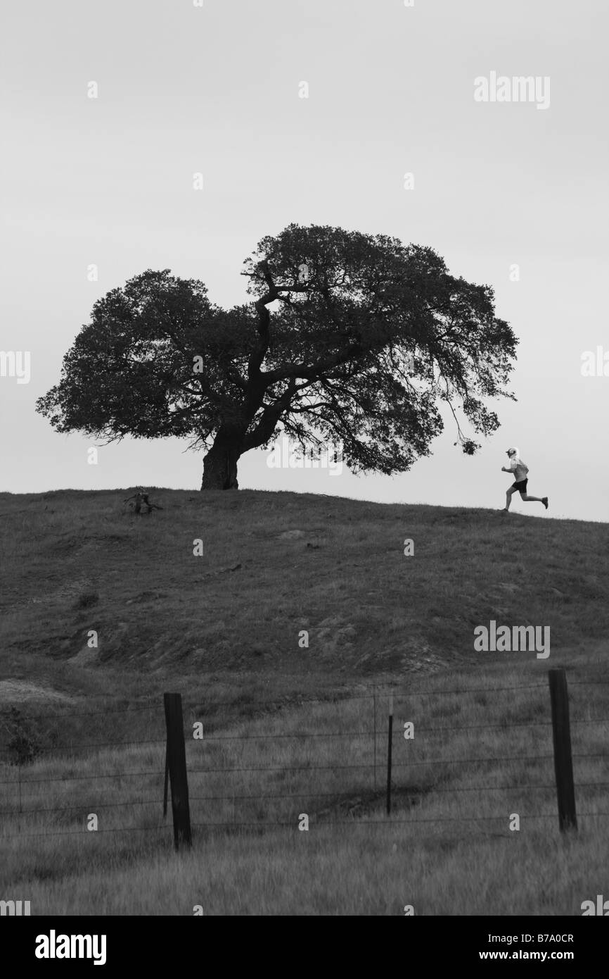 A silhouette of a man running by an oak tree on Patterson Pass near Livermore California Stock Photo