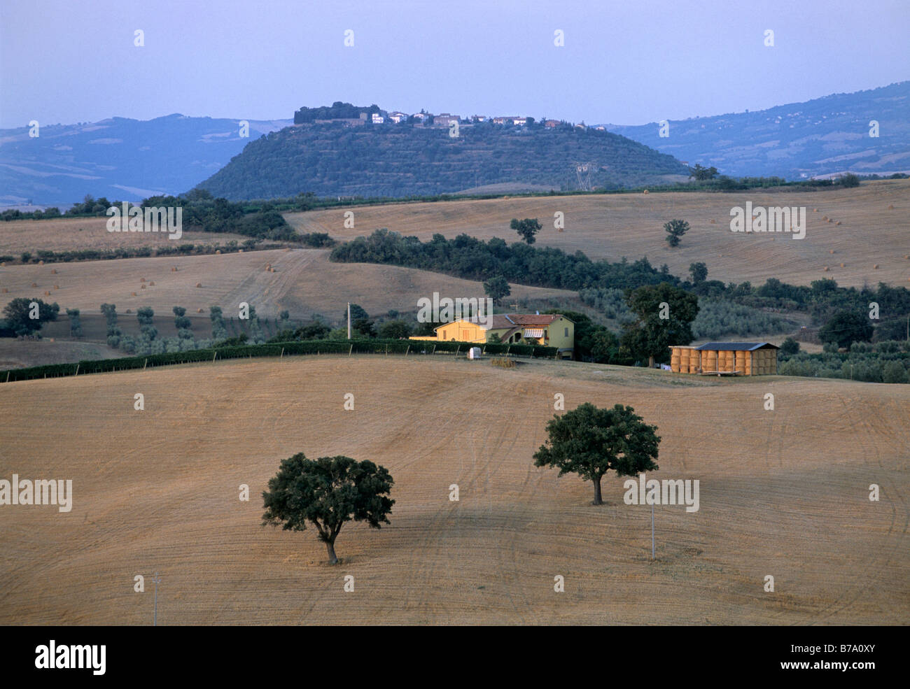 San Angelo in Colle, at front harvested wheat fields near Cinigiano, Province of Grosseto, Tuscany, Italy, Europe Stock Photo