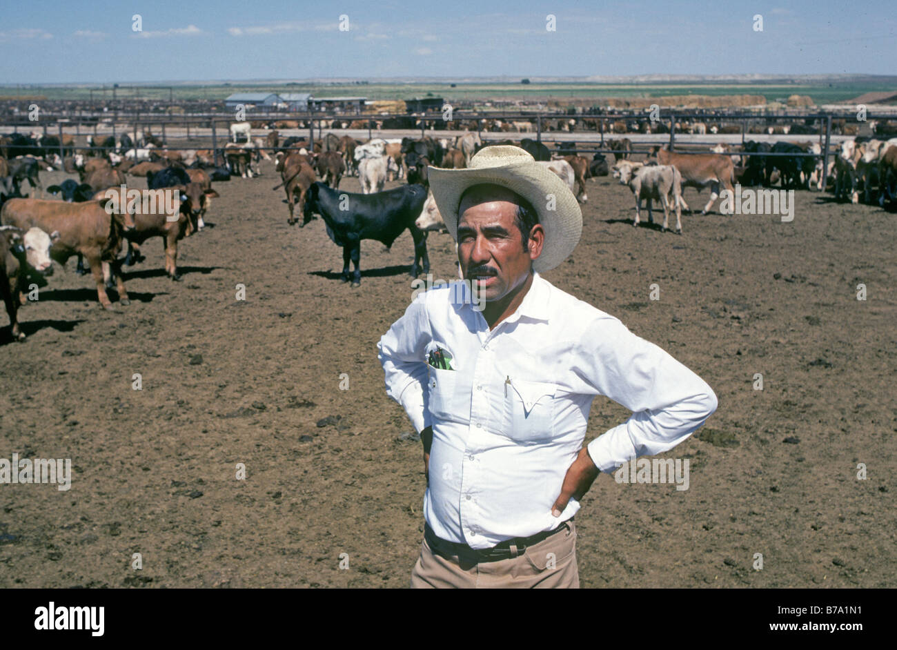 Portrait of illegal Mexican alien immigrant working at a cattle feedlot near El Paso Texas Stock Photo