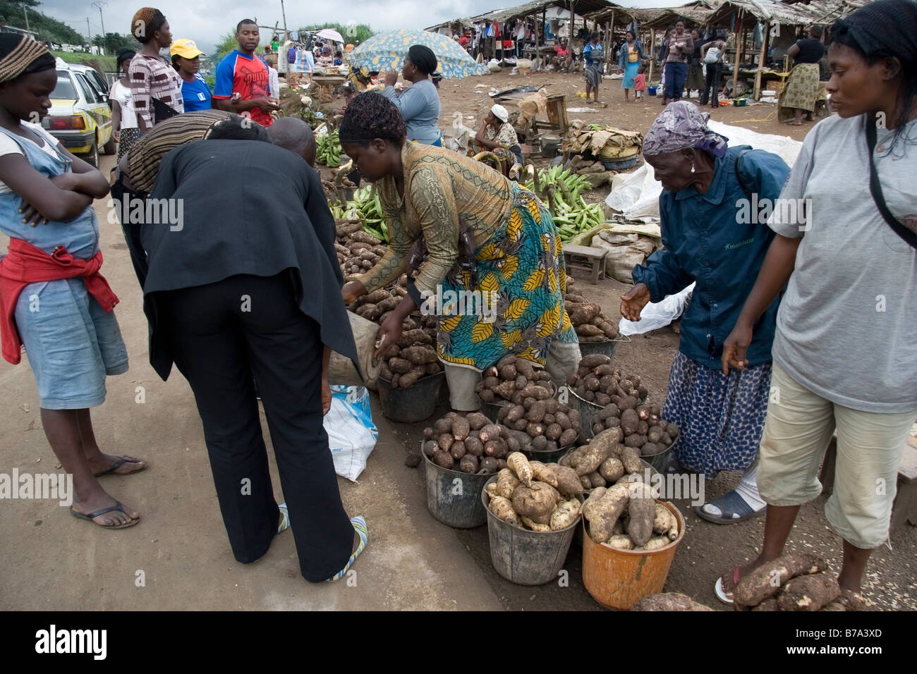 Roadside market with yams coco yams cassava and plantain on sale near