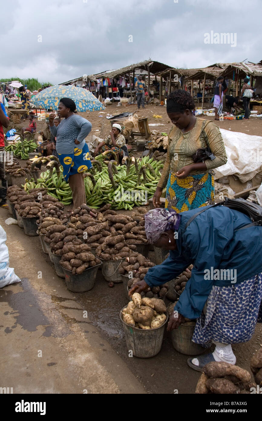 Roadside market with yams coco yams cassava and plantain on sale near