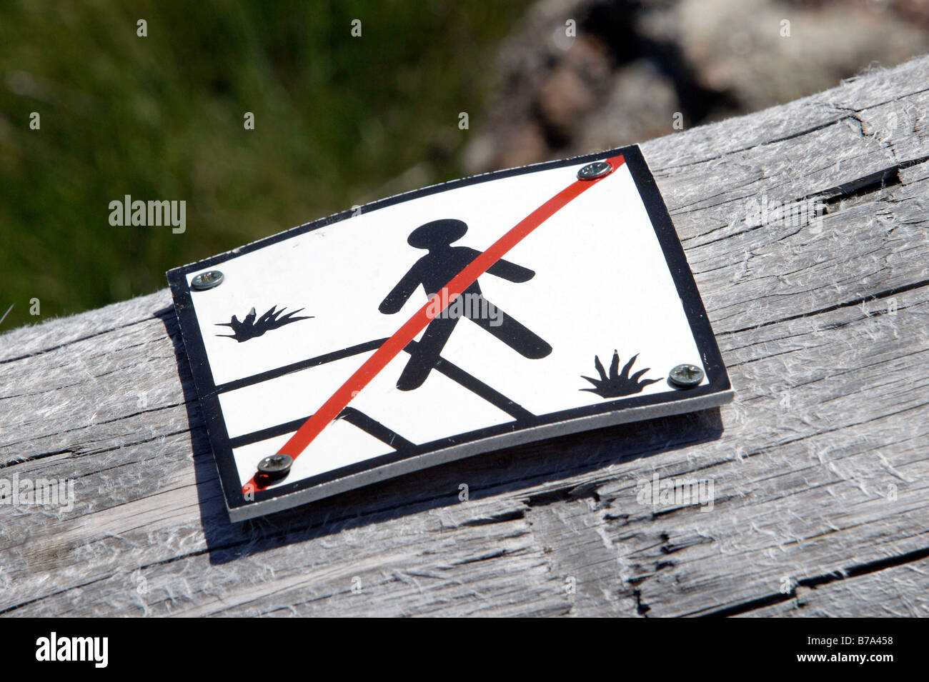 Keep off the grass, sign for the especially vulnerable meadows on the summit of Mount Grosser Arber near Bayerisch Eisenstein i Stock Photo