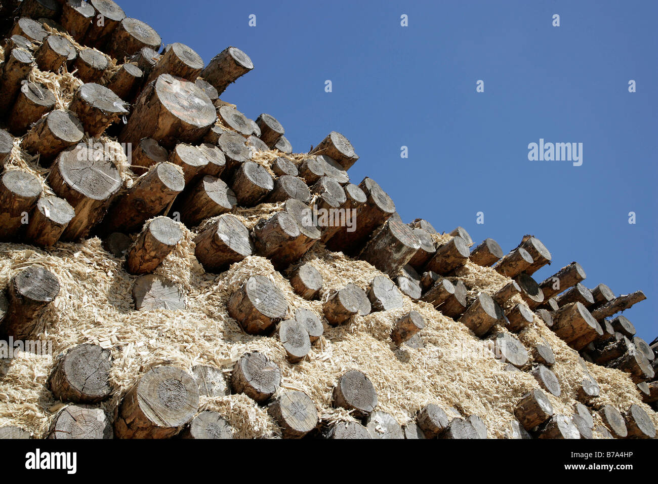 Wood stored ready for the production of particle board or chipboard, at