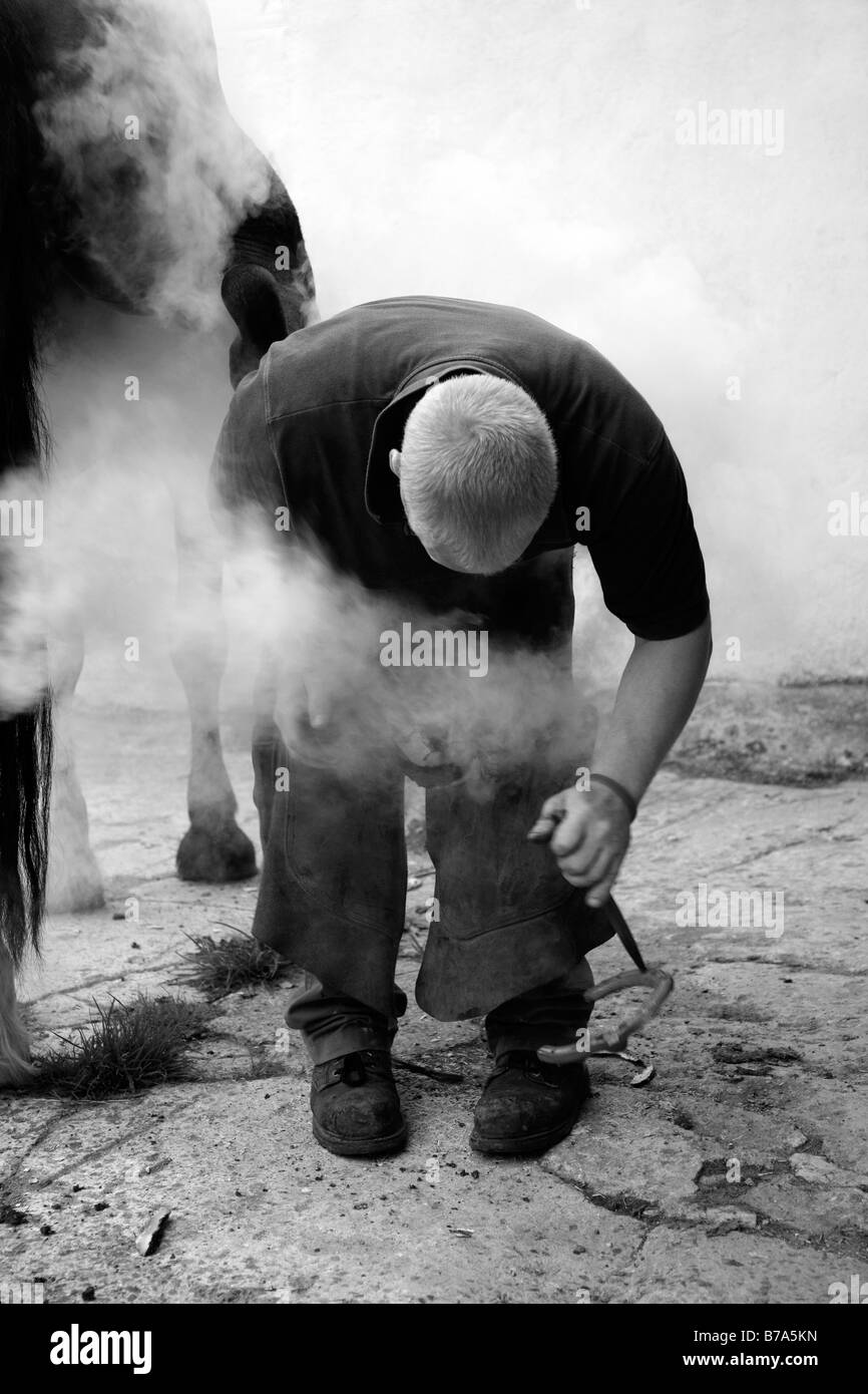 Farrier at a Farm in Devon Stock Photo Alamy