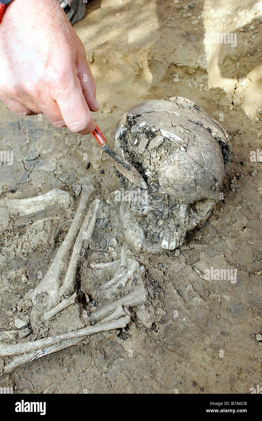 Archaeologist Ludwig Kreiner excavating a 7200 to 7300-year-old female skeleton of the Linear Pottery Culture, Aufhausen, Bavar Stock Photo