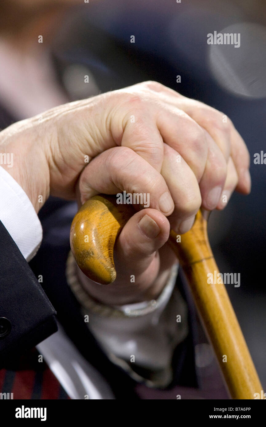 Hands holding a walking stick, former chancellor Helmut Schmidt, SPD, Social Democratic Party of Germany, in Passau, Germany, E Stock Photo