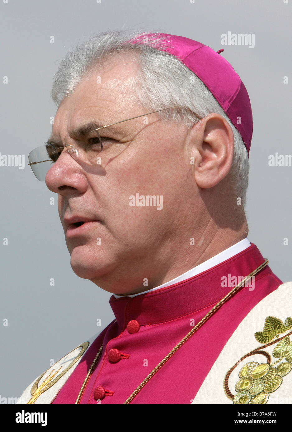 Bishop Gerhard Ludwig Mueller, bishop of Regensburg and the diocese Regensburg, Regensburg, Bavaria, Germany, Europe Stock Photo