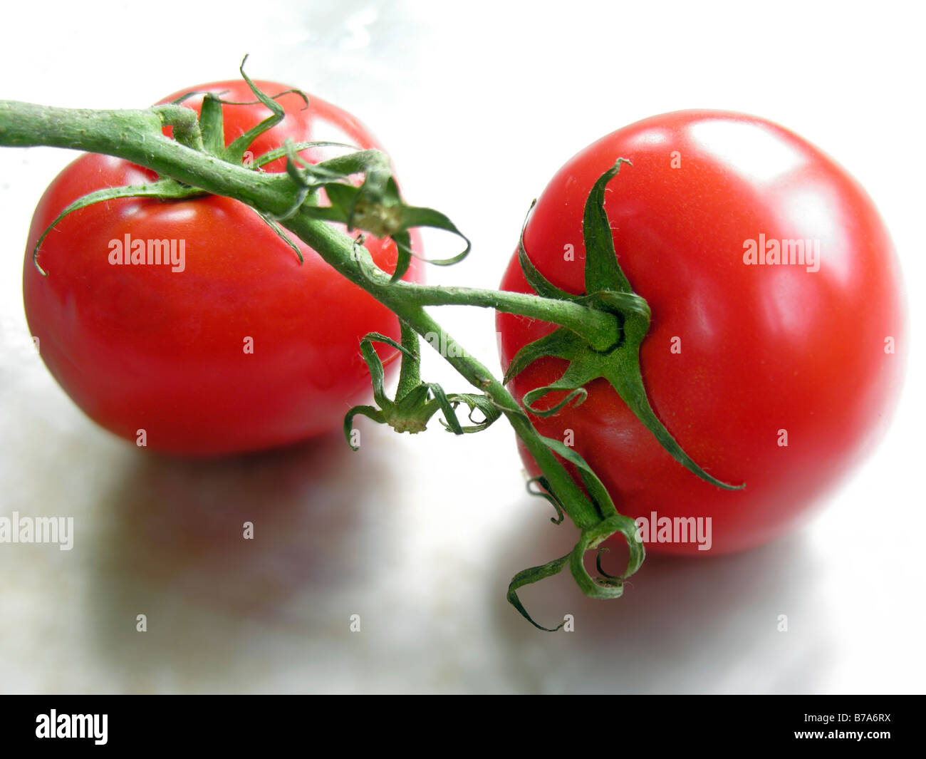 Tomatoes on metal plate Stock Photo