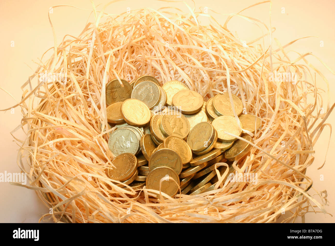 Coins in straw nest Stock Photo