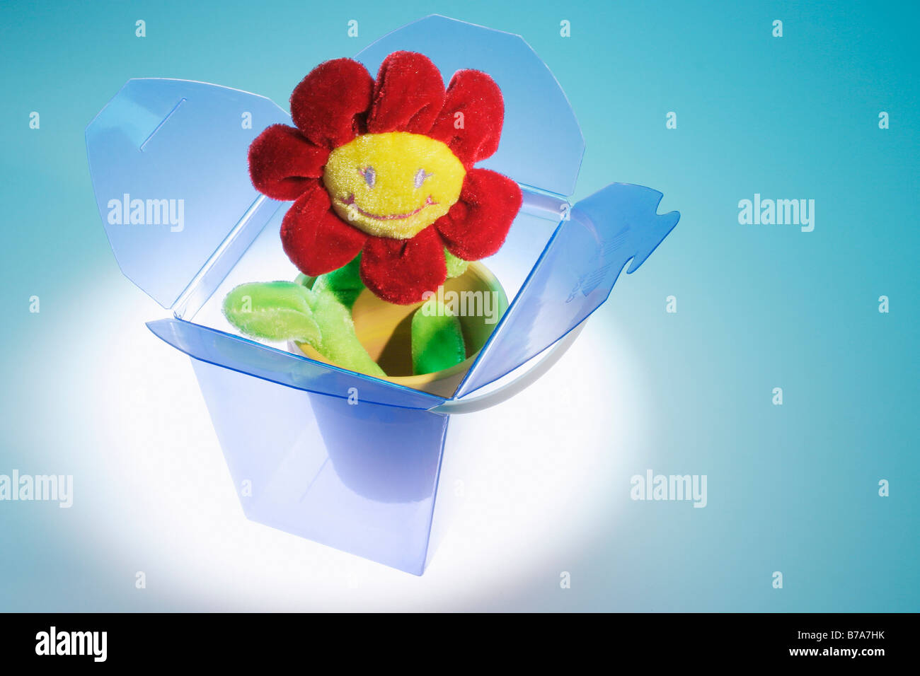 Soft toy, miniature flower pot in gift box Stock Photo