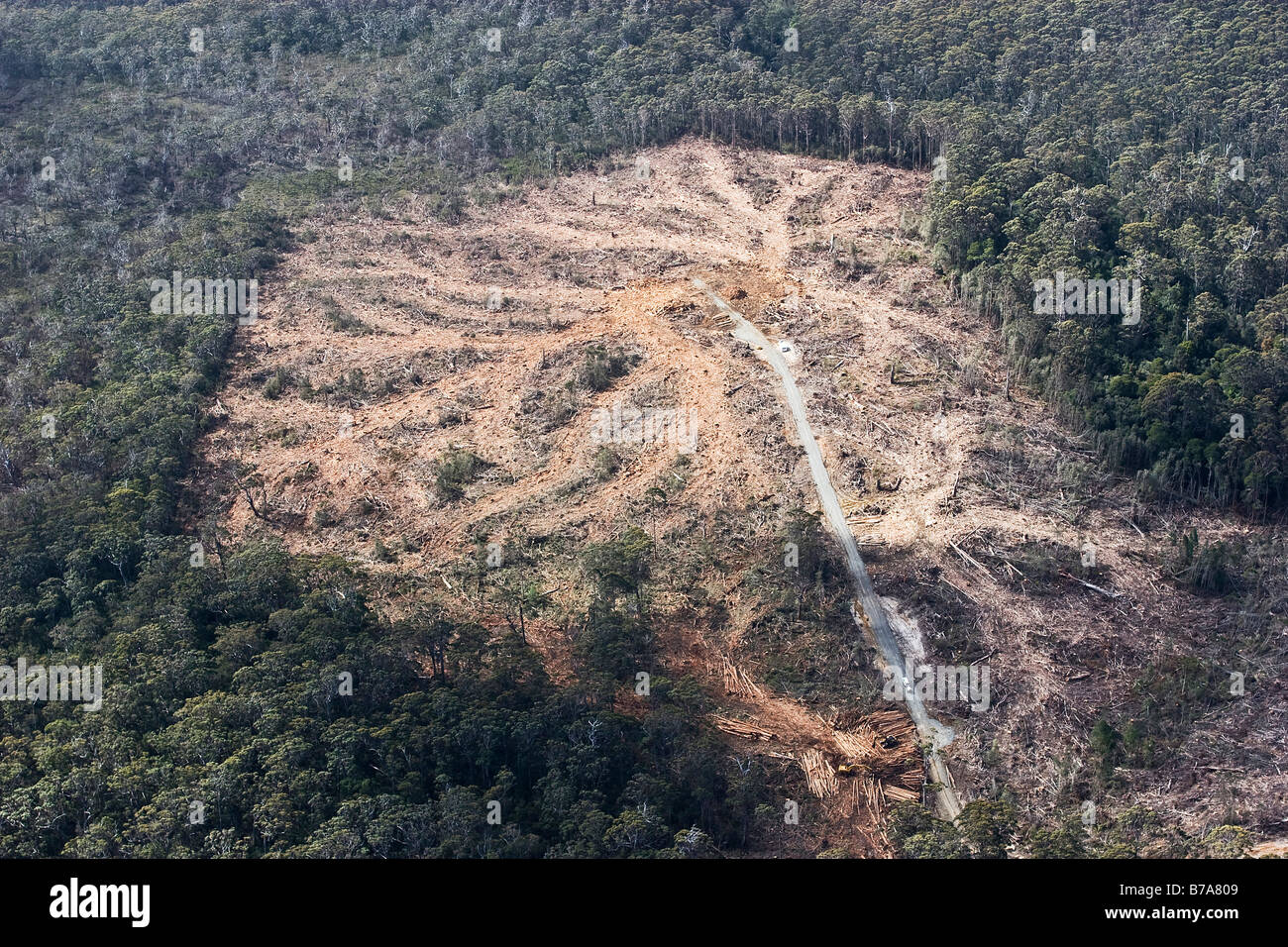 Forest Clear Cutting Aerial View High Resolution Stock Photography and Images Alamy