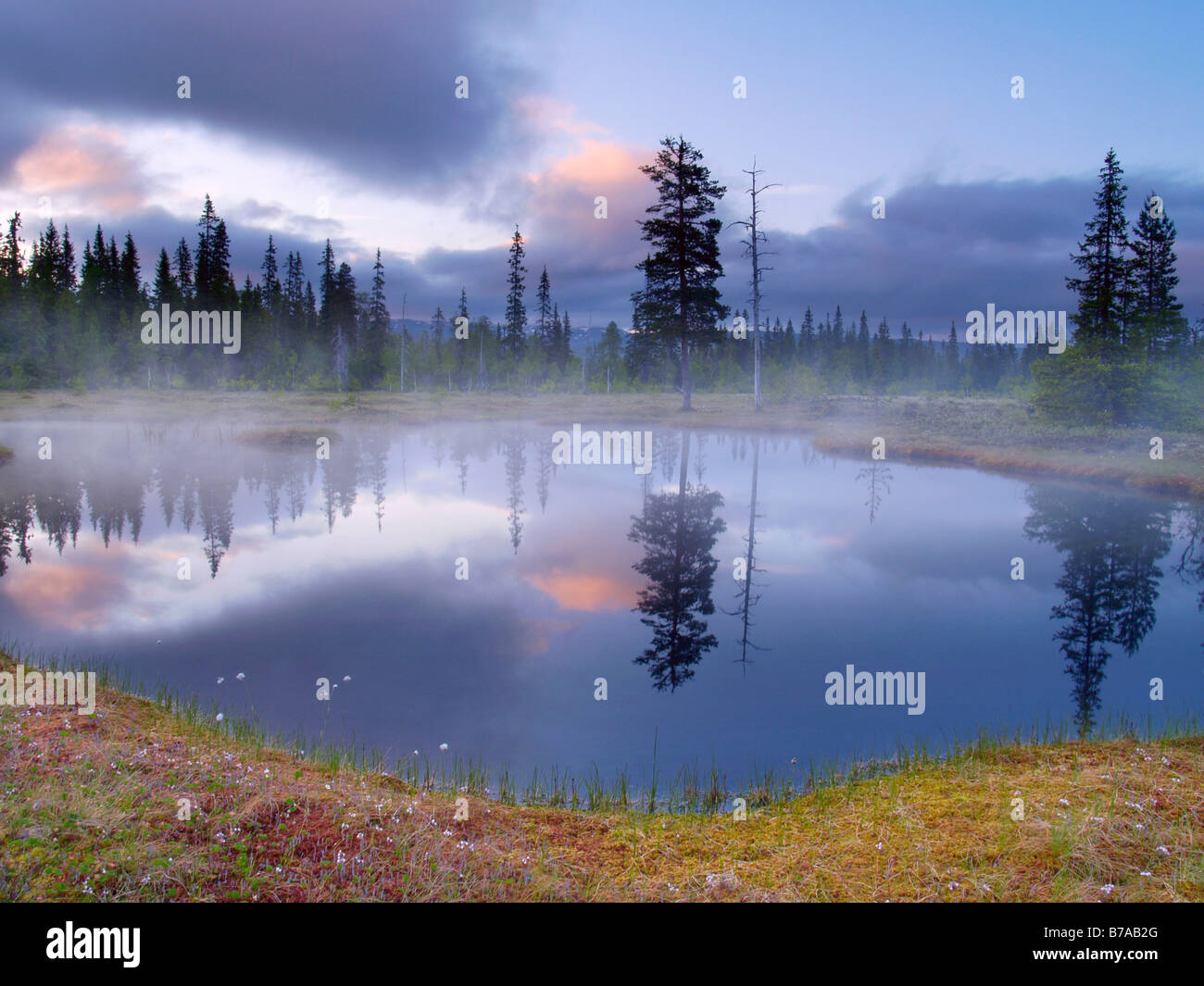 Lagoon in Lurudalen Valley, cloud and tree reflections, Snåsa region ...