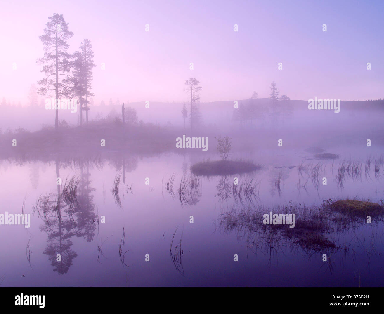Lurudalen Valley, ground mist, Nord-Trøndelag, Norway, Scandinavia ...