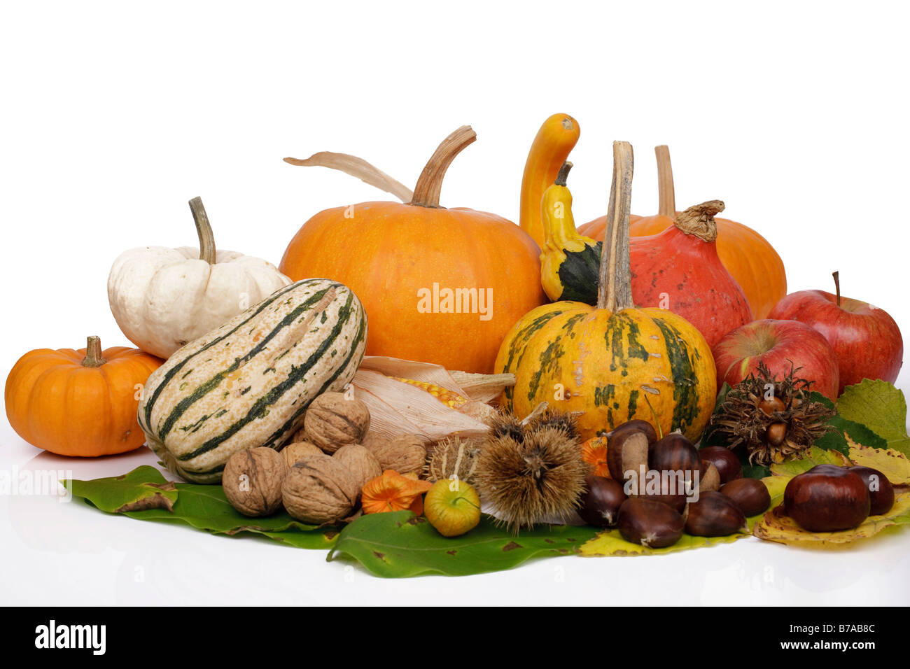 Still life with cucurbita pepo, edible pumpkins and autumn fruits Stock Photo