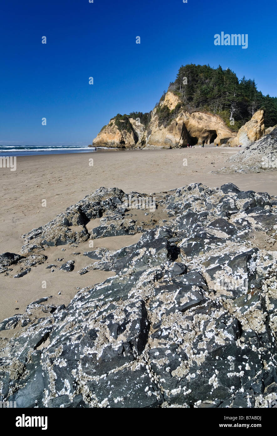 Hug Point Rocks Beach rocks hi-res stock photography and images - Alamy