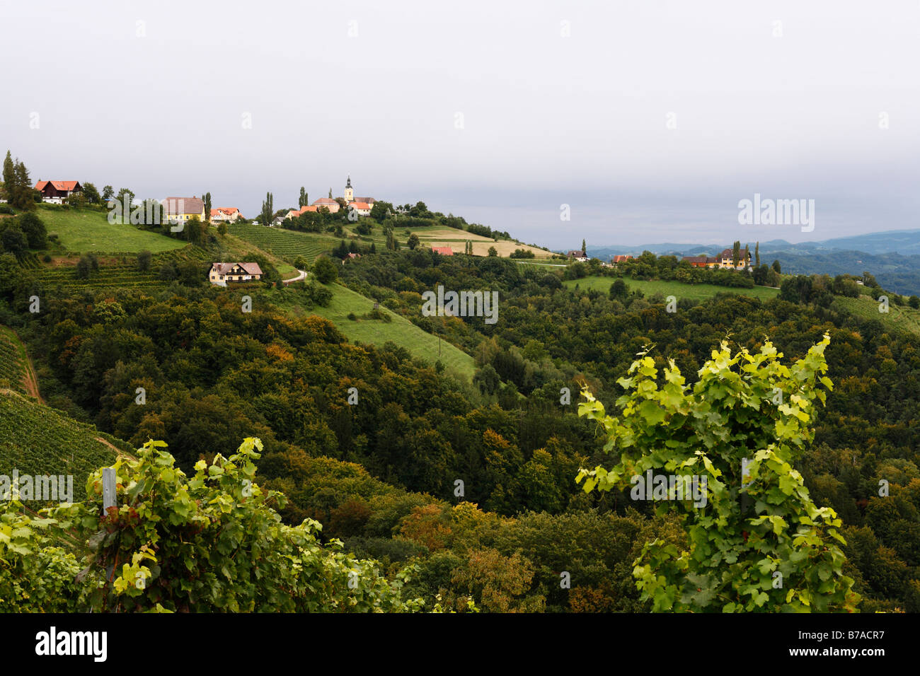 Kitzeck im Sausal, Sausaler Weinstrasse, Sausal Wine Route, Styria, Austria, Europe Stock Photo