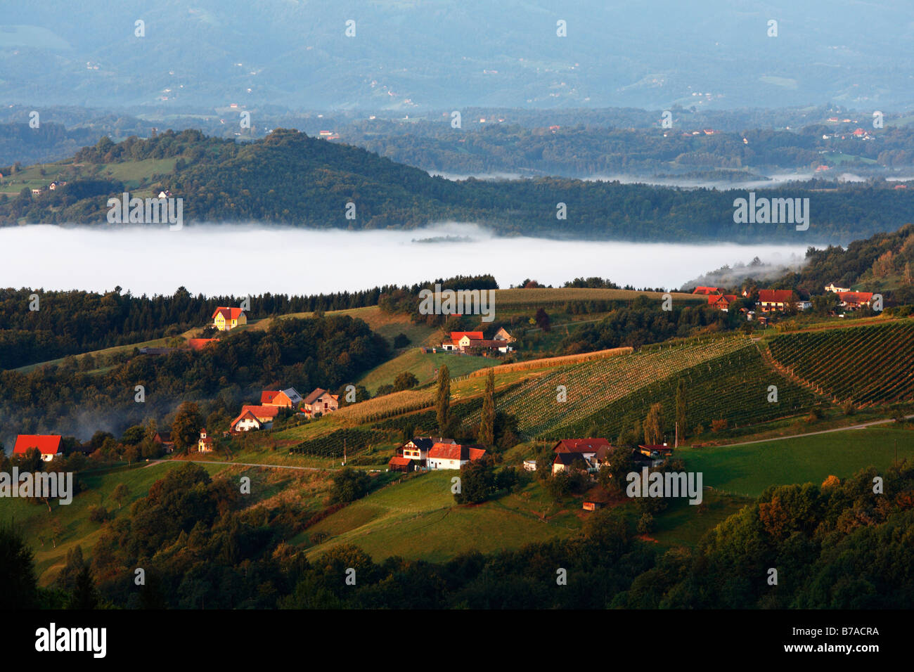 Kitzeck im Sausal, fog bank, Styria, Austria, Europe Stock Photo