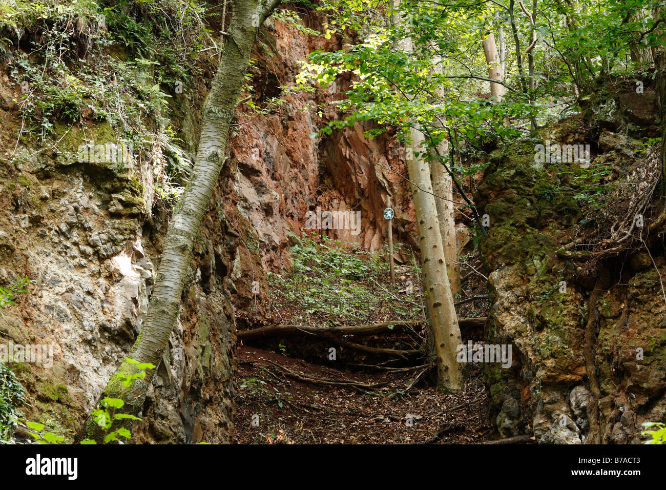 Basalt fissure of Tieschen, east Styrian volcano area, Styria, Austria, Europe Stock Photo