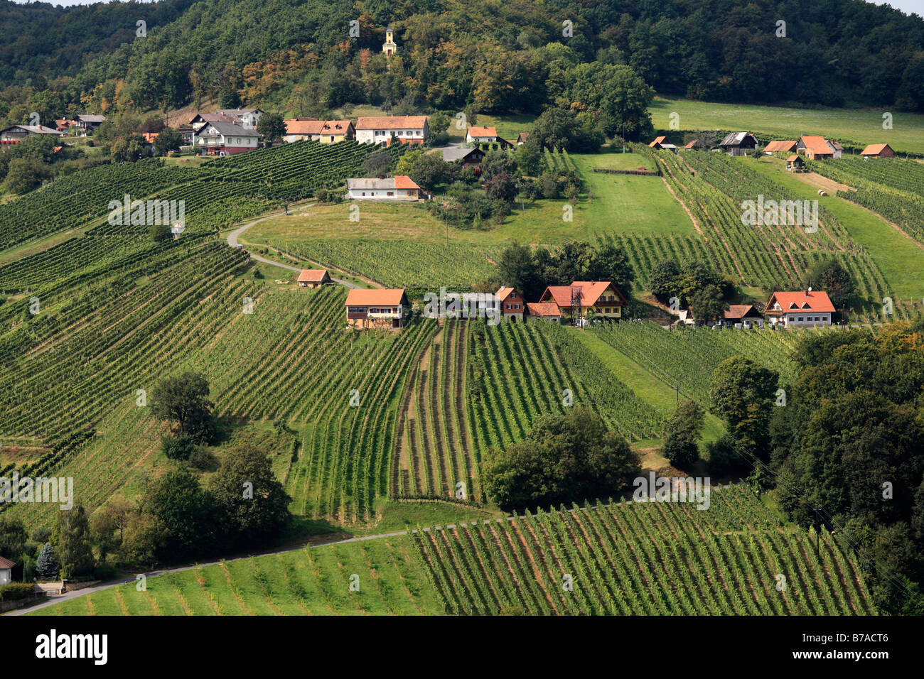 Vineyards surrounding St. Anna am Aigen, Styria, Austria, Europe Stock Photo