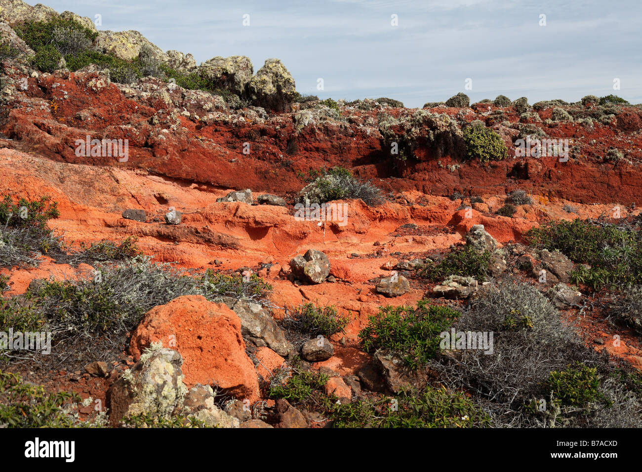 Red lava stone, Lomo de Mojoma, La Gomera, Canary Islands, Spain, Europe Stock Photo