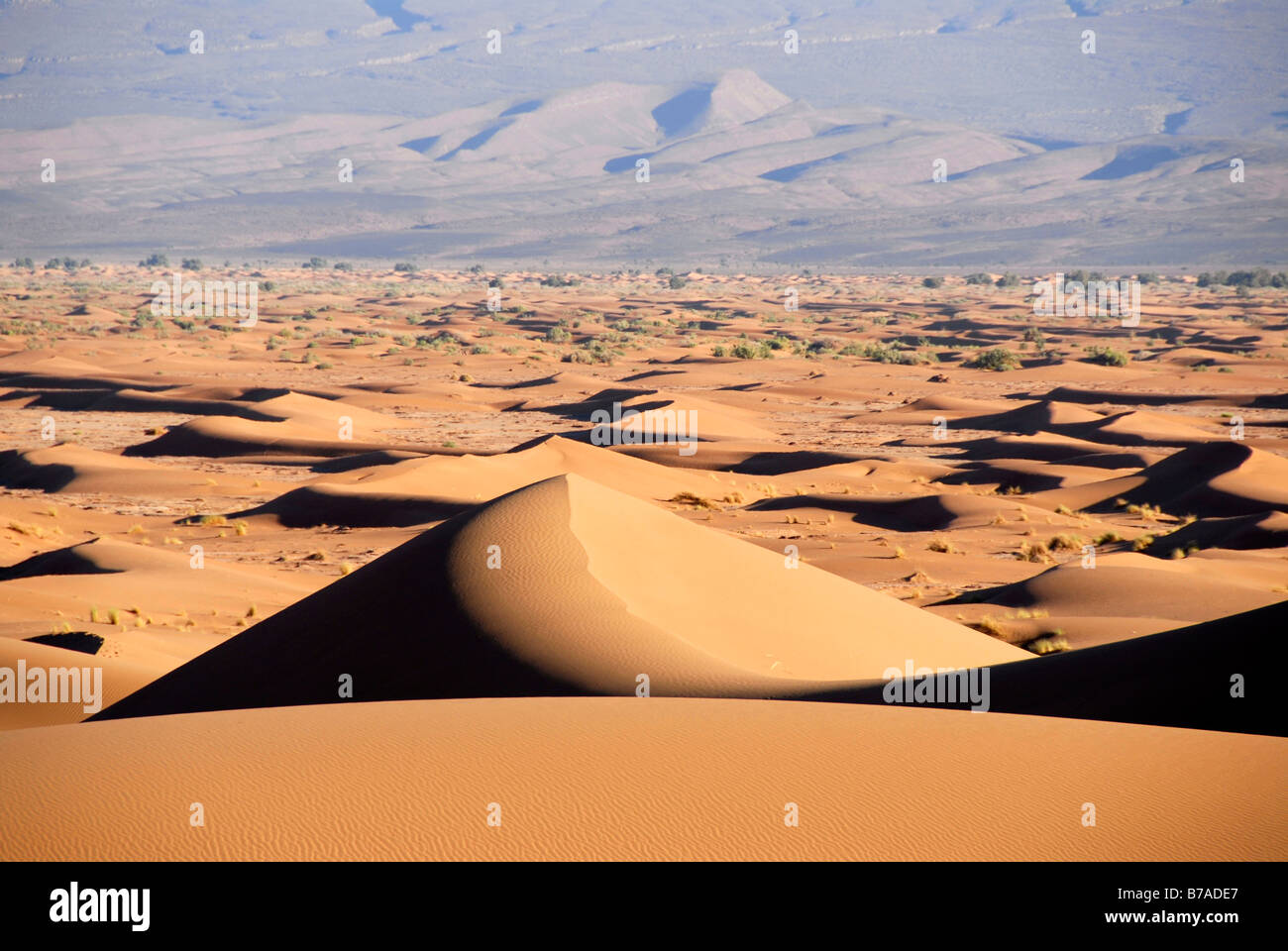 Desert, magnificent parade of light and shadow in a sea of sand dunes, Jbel Bani near Mhamid, Morocco, North Africa, Africa Stock Photo