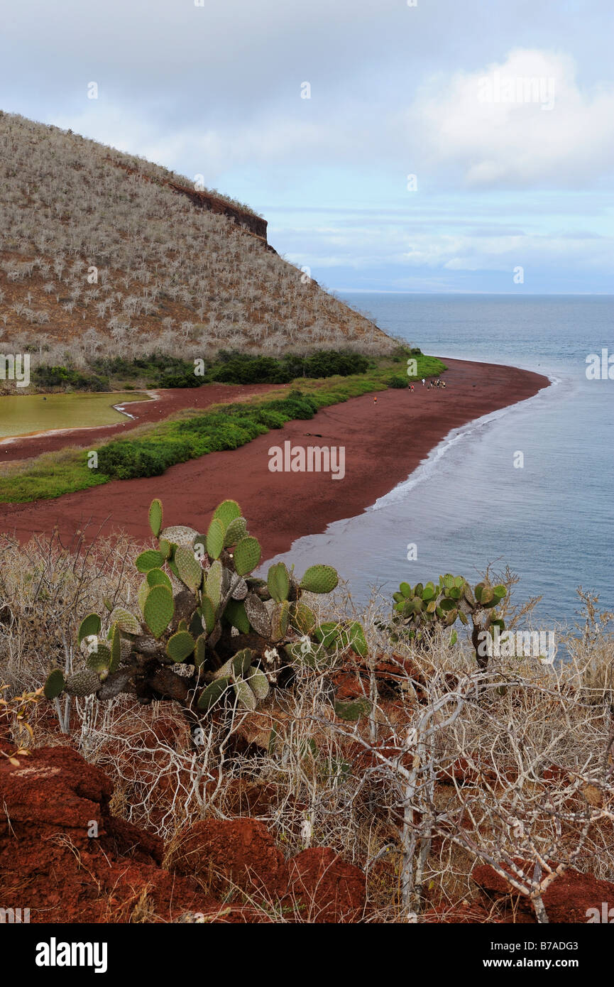 View of the red sand beach of Rabida Island, Galapagos Islands, Ecuador, South America Stock Photo